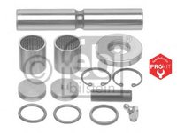 Set reparatie, pivot MERCEDES-BENZ T1 bus (601), MERCEDES-BENZ T1 bus (602), MERCEDES-BENZ T1 caroserie (601) - FEBI BILSTEIN 10063