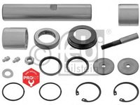 Set reparatie, pivot RENAULT TRUCKS Midliner - FEBI BILSTEIN 30281