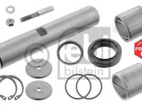 Set reparatie, pivot RENAULT TRUCKS Midliner - FEBI BILSTEIN 30280