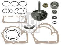 Set reparatie, pompa apa FEBI BILSTEIN 11622