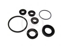 Set reparatie pompa centrala frana D1174 AUTOFREN SEINSA pentru Mercedes-benz Limuzina Mercedes-benz E-class Mercedes-benz S-class Mercedes-benz Cabriolet Mercedes-benz C-class Volvo 740