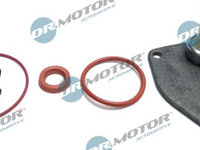 Set reparatie, pompa vacuum (Siste frana) Dr.Motor Automotive DRM0322