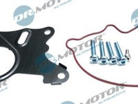 Set reparatie, pompa vacuum (Siste frana) Dr.Motor Automotive DRM0325