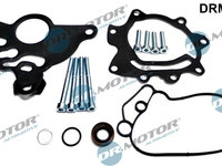 Set reparatie, pompa vacuum (Siste frana) (DRM0252 DRM) AUDI,SKODA,VW