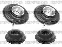 Set reparatie Rulment flansa amortizor AUDI A4 Avant 8D5 B5 IMPERGOM 35058/2