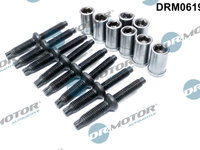 Set reparatie, suport duza (DRM0619S DRM) Citroen,FORD,PEUGEOT