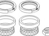 Set rulment roata Citroen RELAY bus (230P), PEUGEOT BOXER bus (230P), PEUGEOT BOXER caroserie (230L) - TOPRAN 721 921