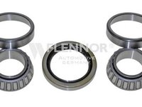 Set rulment roata FORD ESCORT `95 caroserie AVL FLENNOR FR391947