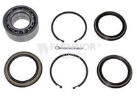 Set rulment roata NISSAN ALMERA TINO V10 FLENNOR FR950537