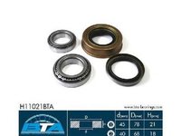 Set rulment roata NISSAN TERRANO I WD21 BTA H11021BTA