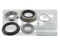 Set rulment roata NISSAN TERRANO (WD21), NISSAN MISTRAL II (R20), NISSAN NAVARA pick-up (D21) - SKF VKBA 3205