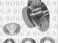 Set rulment roata PEUGEOT 206 hatchback 2A C BORG & BECK BWK788