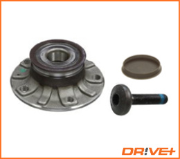 Set rulment roata puntea spate (DP2010.1