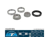 Set rulment roata puntea spate (H2A001BTA BTA) AUDI,SEAT,VW