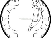 Set saboti frana 8100 10019 TRISCAN pentru Hyundai Santa Hyundai Trajet