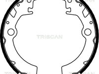 Set saboti frana 8100 69600 TRISCAN