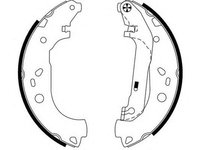 Set saboti frana FORD TRANSIT CONNECT P65 P70 P80 TEXTAR 91061400