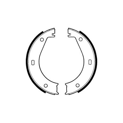 Set saboti frana mana Delphi LS1573, parte montare : Punte Spate