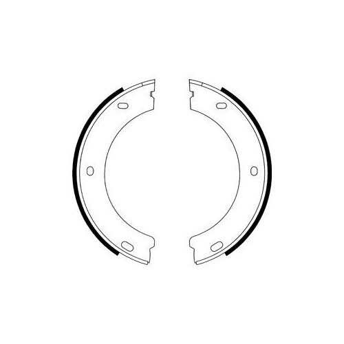 Set saboti frana mana Delphi LS1597, parte montare : Punte Spate