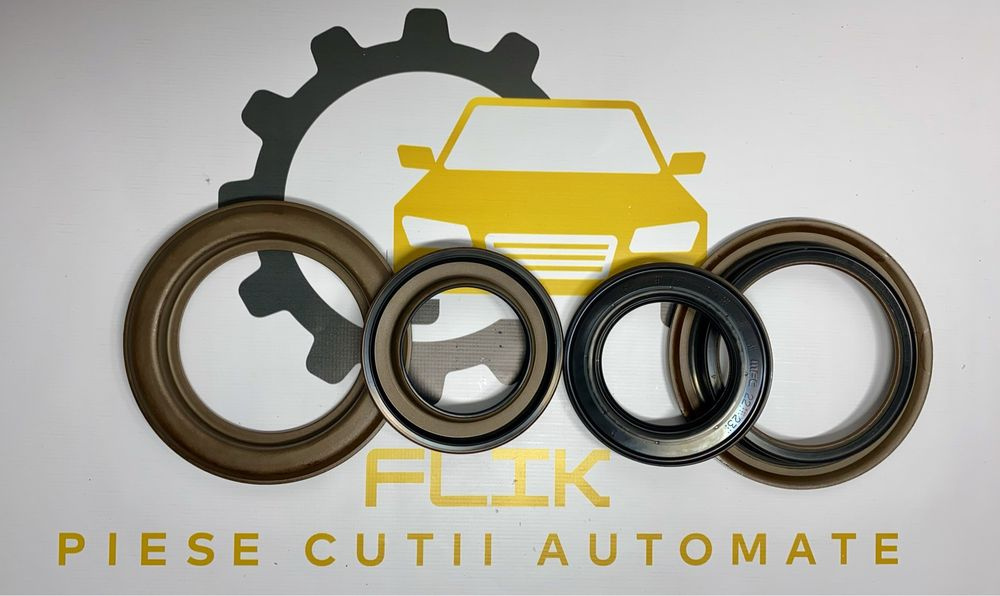 Set segmenti cutie automata PowerShift D