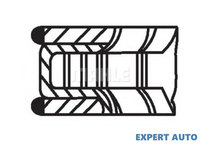 Set segmenti Dacia LOGAN MCV (KS_) 2007-2016 #2 02202N0