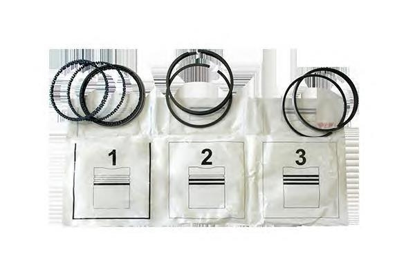Set Segmenti Motor Log./Sandero. 1.5 Asam 30639 30639