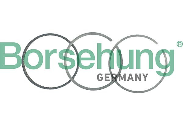 Set segmenti piston # Audi A3 2003 2004 2005 2006 2007 2008 2009 2010 # B19040 # BORSEHUNG