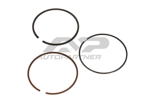 Set segmenti piston AUDI A4 (8D2, B5) - Cod intern: W20185789 - LIVRARE DIN STOC in 24 ore!!!