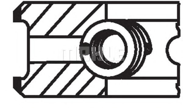 Set segmenti piston AUDI A4 Avant (8E5, B6) - Cod intern: W20166077 - LIVRARE DIN STOC in 24 ore!!!