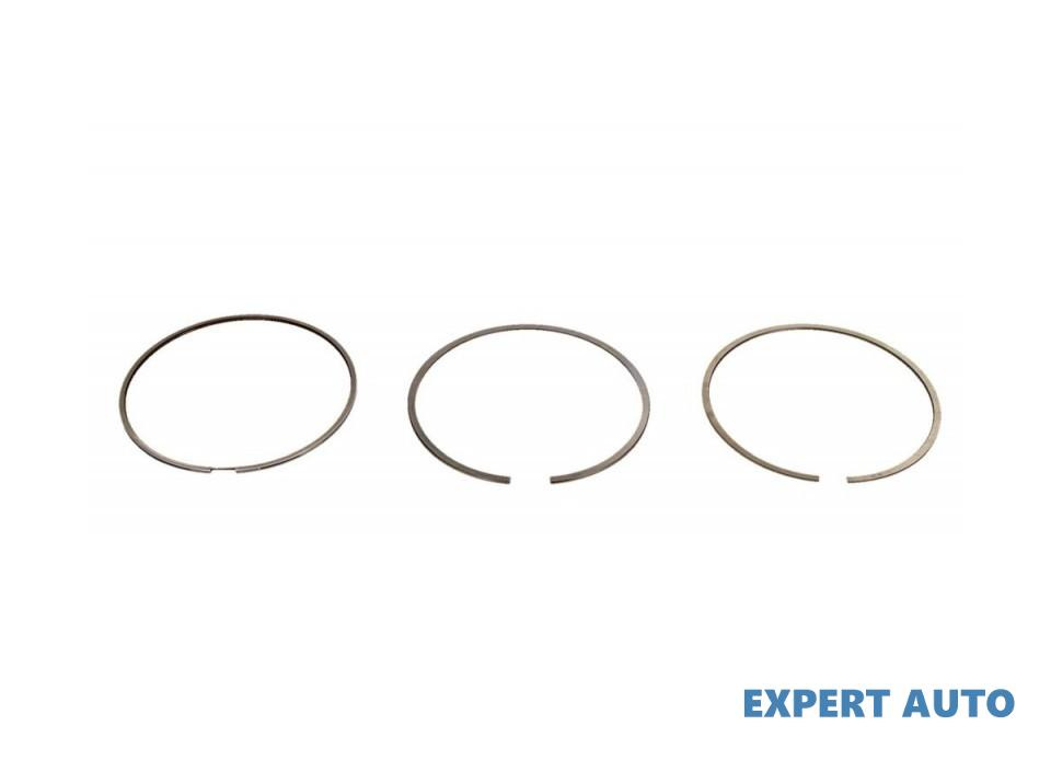 Set segmenti piston Audi AUDI A3 (8V1) 2012-2016 #