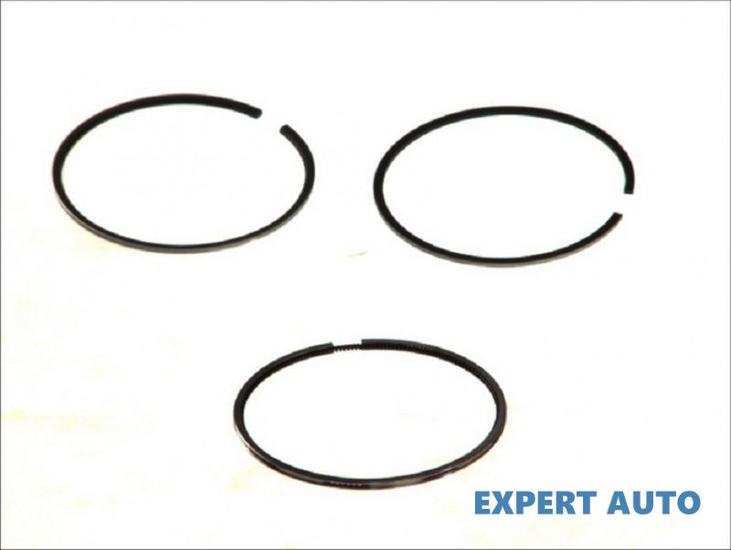 Set segmenti piston Audi AUDI A4 (8E2, B6) 2000-2004 03020N3