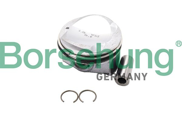 Set segmenti piston # B18991 # BORSEHUNG
