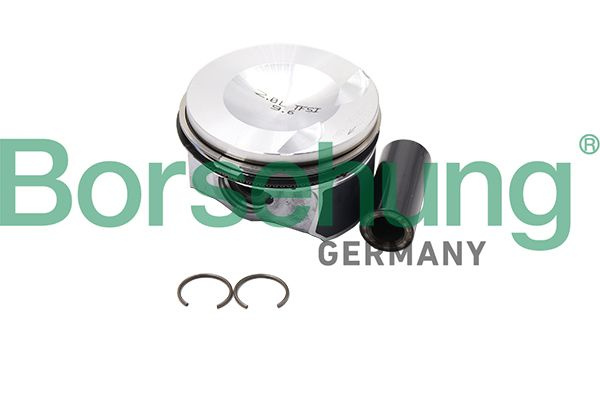 Set segmenti piston # B18993 # BORSEHUNG