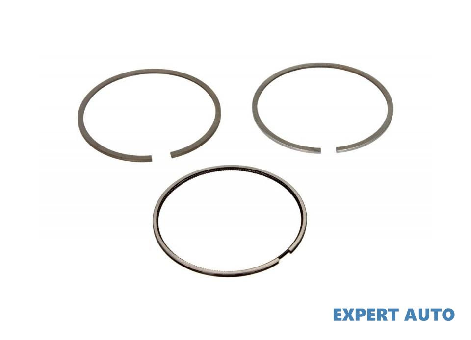 Set segmenti piston Dacia LOGAN EXPRESS (FS_) 2009
