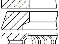 Set segmenti piston FIAT BRAVO I 182 GOETZE ENGINE 0811800600