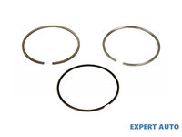 Set segmenti piston Fiat DUCATO platou / sasiu (250, 290) 2006-2016 #2 007RS001060N0