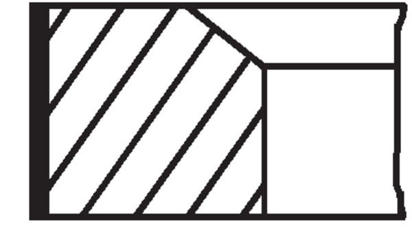 Set segmenti piston MAHLE 022 23 N1