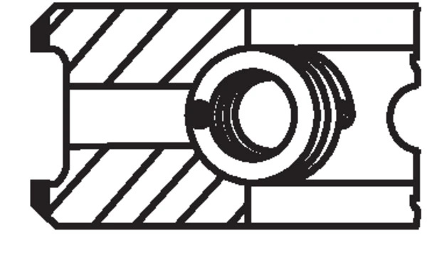 Set segmenti piston MAHLE 022 23 N1