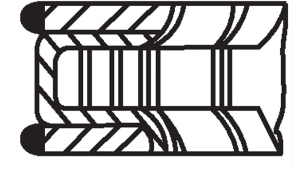 Set Segmenti Piston Mahle Original 015 61 N2