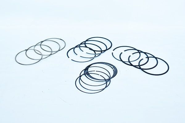 Set segmenti piston RENAULT SCÉNIC I microb