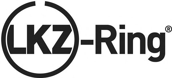 Set segmenti piston VW CADDY 1,6TDI 15- - Cod intern: W20208751 - LIVRARE DIN STOC in 24 ore!!!