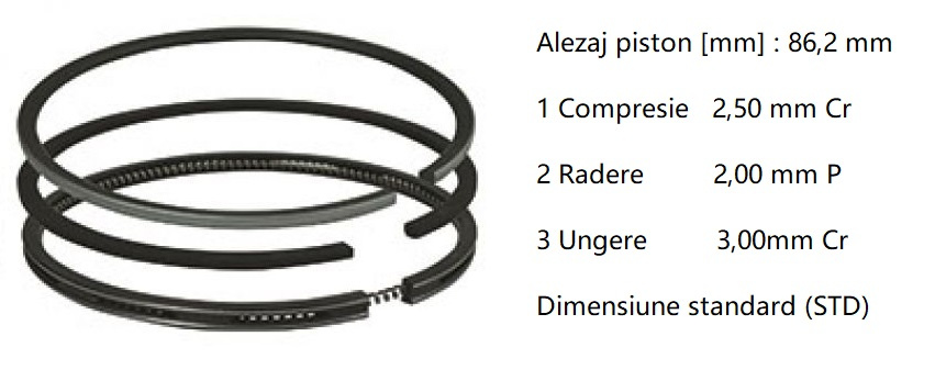 Set segmenti std Ssangyong