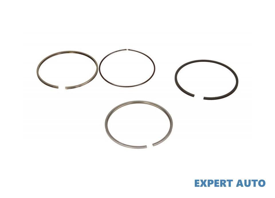 Set segmenti Volkswagen VW MULTIVAN Mk V (7HM, 7HN, 7HF, 7EF, 7EM, 7EN) 2003-2016 #8 03048N1