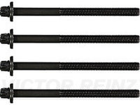 Set surub, chiulasa (143223201 REI) DACIA,NISSAN,PEUGEOT,RENAULT