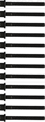 Set Surub, Chiulasa Victor Reinz Audi 14-32047-02