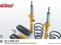Set suspensie, arcuri elicoidale / amortizoare BMW 6 (E63) - EIBACH E90-20-012-04-22