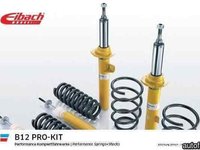 Set suspensie arcuri elicoidale / amortizoare BMW Z3 E36 Producator EIBACH E90-20-002-02-22