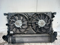 Set ventilatoare Renault Laguna 3 2.0 dci an de fabricație 2009