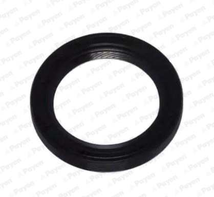 Simering, arbore cotit partea fata (NA5306 PAYEN) SEAT,SKODA,VW