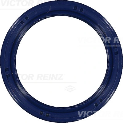 Simering arbore cotit Victor Reinz 81-53699-00